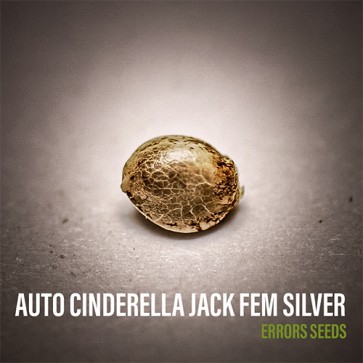 Насіння коноплі Auto Cinderella Jack Feminised Silver - 500 шт